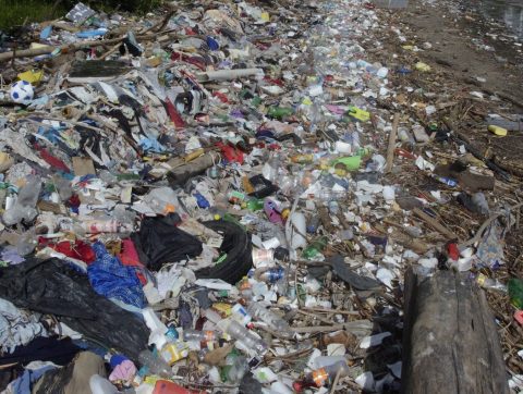 Enerkem veut supprimer les déchets plastiques dans les océans