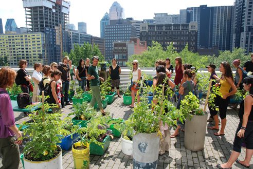 11ème édition de l’Ecole d’été sur l’agriculture urbaine de Montréal