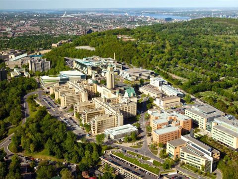Montréal, 6ème meilleure ville universitaire du Monde !