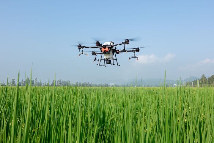 Des drones au secours de la biodiversité