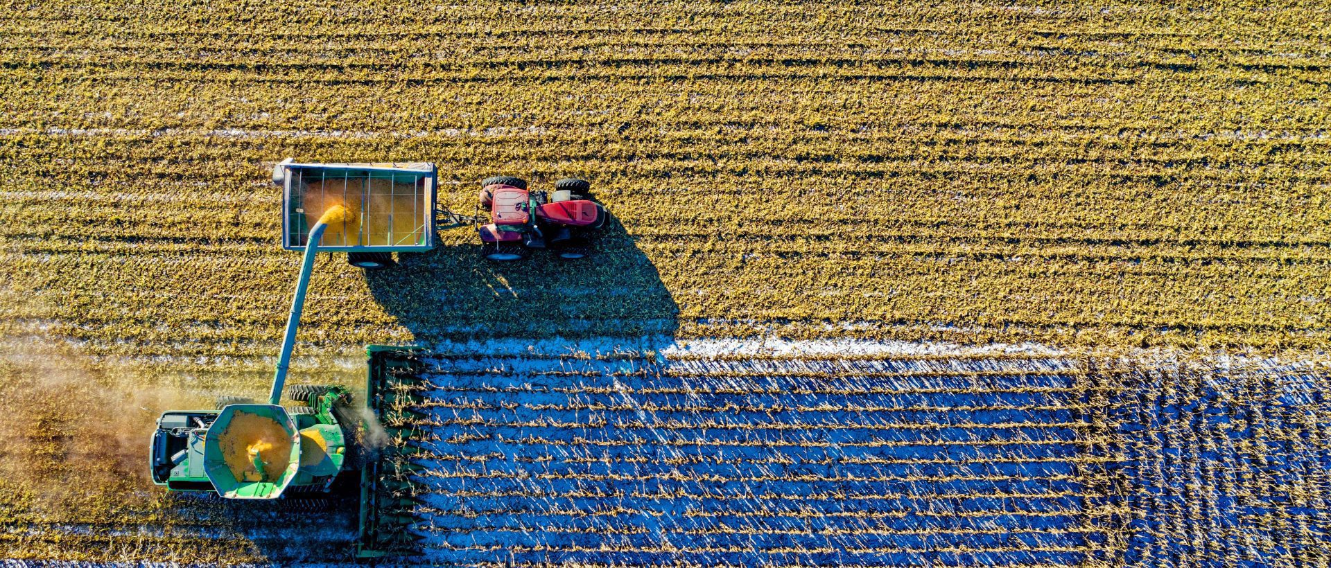 Le monde agricole se tourne vers l’IA pour la santé des sols