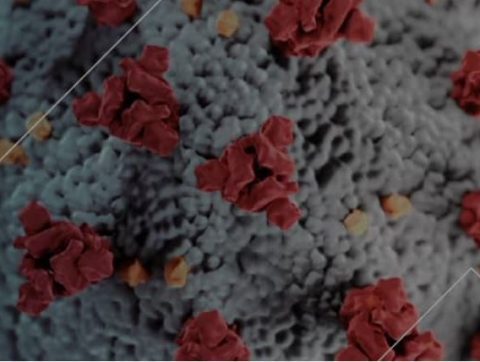 [COLLABORATION] Exploiter les données pour enrayer la pandémie