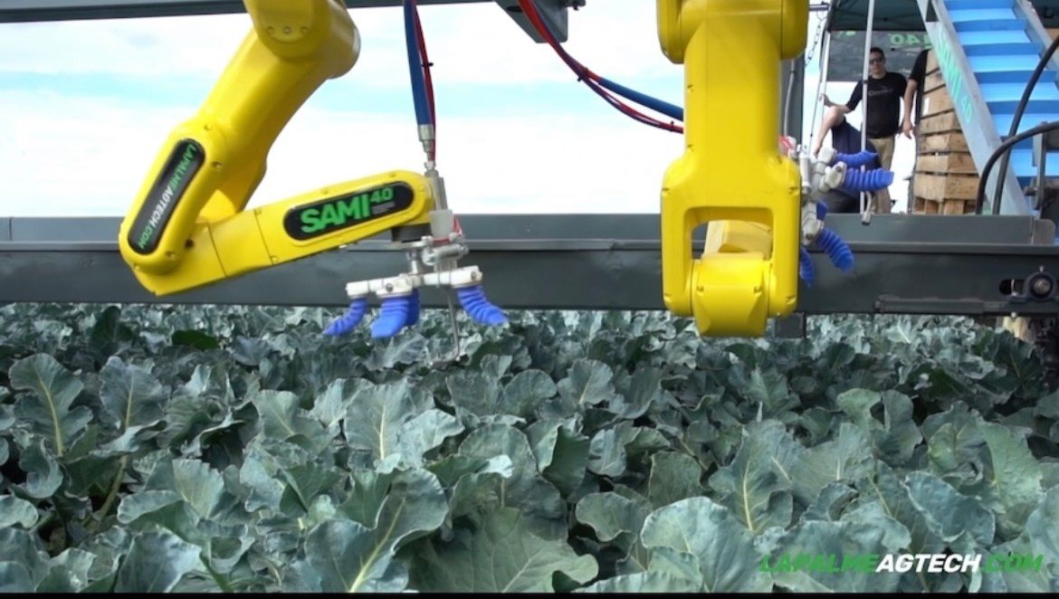 SAMI 4.0 : le robot cueilleur au service de la récolte au Québec