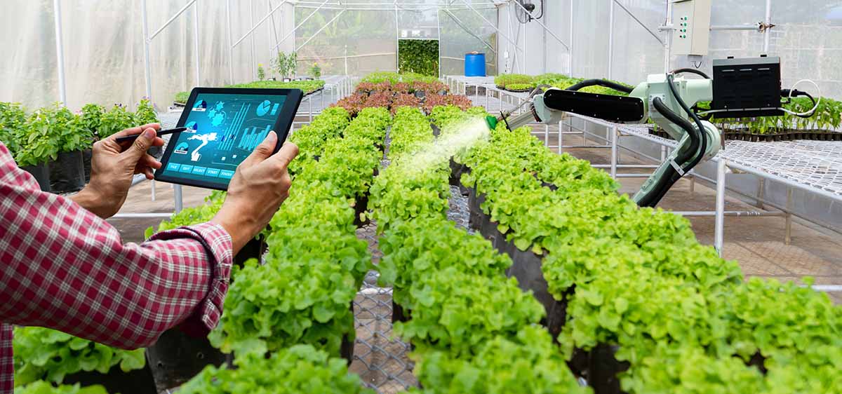 Le “Smart Farming”, la nouvelle tendance en gestion agricole