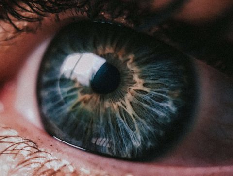 Une nouvelle application de détection de la dégénérescence maculaire liée à l’âge dans des cliniques d’optométrie au Québec