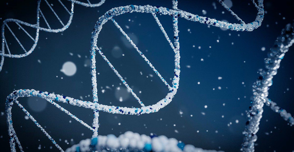 [NOUVEAUTÉ] ADN : un balado sur les projets en génomique qui changent le monde