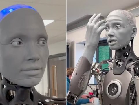 Des robots à l’image des humains