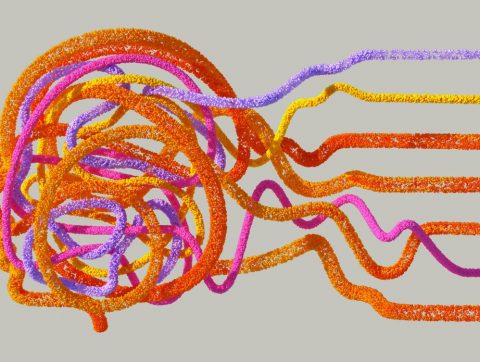 Accepter la complexité