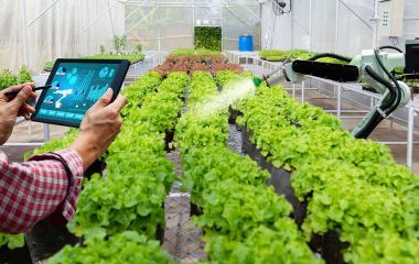 smart farming, ferme intelligente, agriculture 4.0